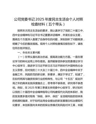 公司党委书记2025年度民主生活会个人对照检查材料（五个带头）183052