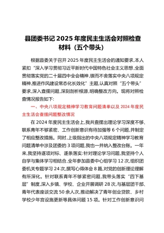 县团委书记2025年度民主生活会对照检查材料（五个带头）