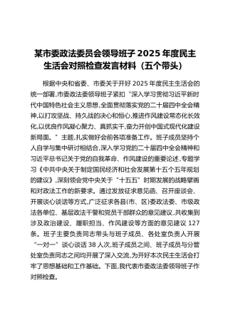某市委政法委员会领导班子2025年度民主生活会对照检查发言材料（五个带头）