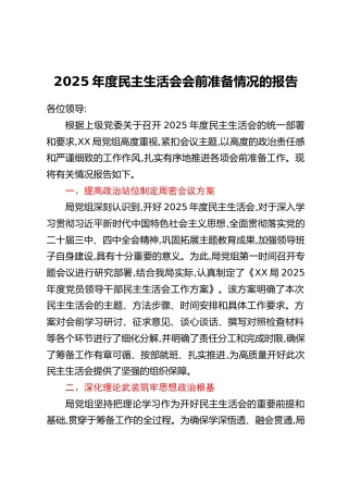 2025年度民主生活会会前准备情况的报告