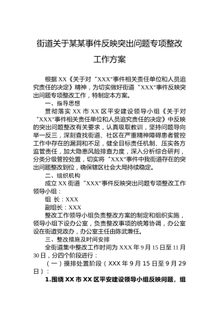 街道关于某某事件反映突出问题专项整改工作方案