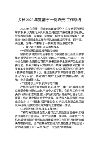 乡长2025年度履行一岗双责工作总结