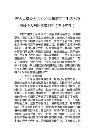 市人大常委会机关2025年度民主生活会秘书长个人对照检查材料（五个带头）