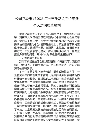 公司党委书记2025年民主生活会五个带头个人对照检查材料