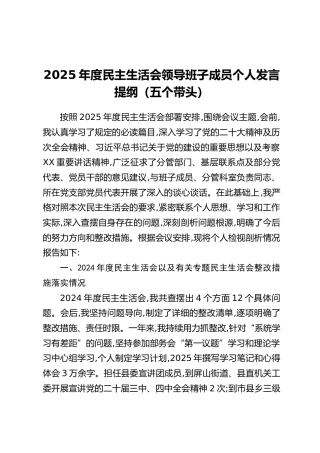 2025年度民主生活会领导班子成员个人发言提纲（五个带头）