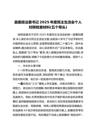 县委政法委书记2025年度民主生活会个人对照检查材料(五个带头)
