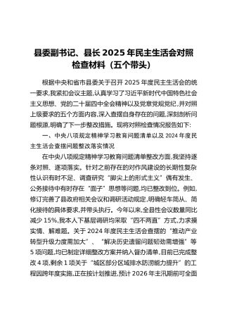 县委副书记、县长2025年民主生活会对照检查材料（五个带头）
