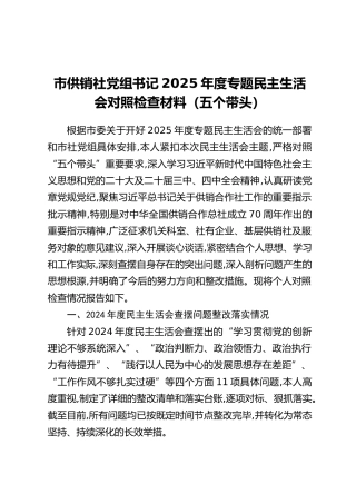 市供销社党组书记2025年度专题民主生活会对照检查材料（五个带头）