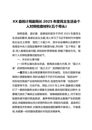XX县统计局副局长2025年度民主生活会个人对照检查材料(五个带头)
