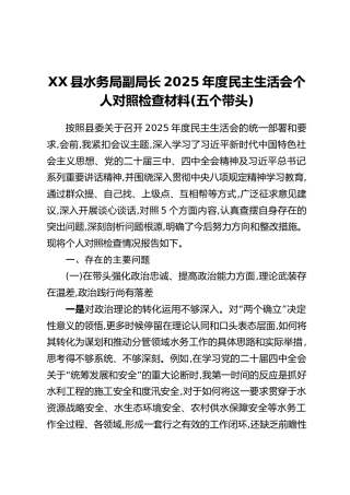 XX县水务局副局长2025年度民主生活会个人对照检查材料(五个带头)