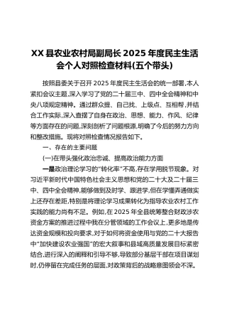XX县农业农村局副局长2025年度民主生活会个人对照检查材料(五个带头)