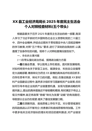 XX县工业经济局局长2025年度民主生活会个人对照检查材料(五个带头)