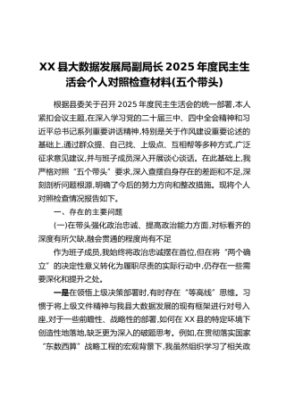 XX县大数据发展局副局长2025年度民主生活会个人对照检查材料(五个带头)