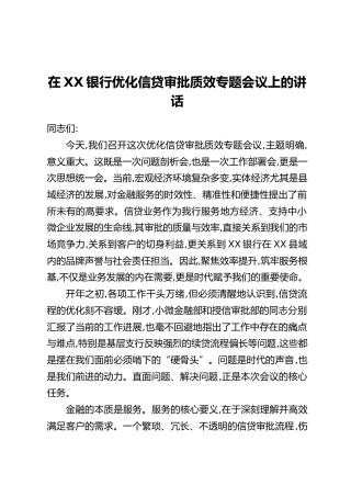 在XX银行优化信贷审批质效专题会议上的讲话