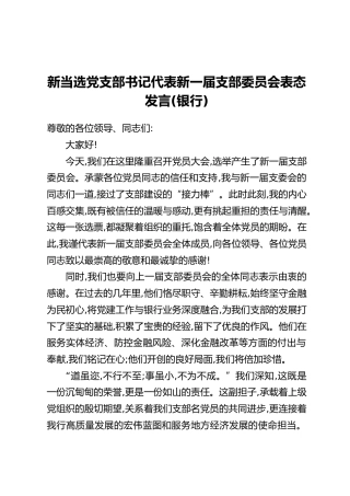 新当选党支部书记代表新一届支部委员会表态发言（银行）