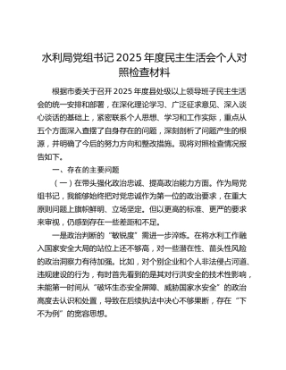 水利局党组书记2025年度民主生活会个人对照检查材料（五个带头）