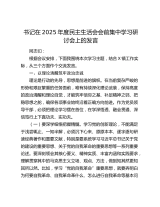 书记在2025年度民主生活会会前集中学习研讨会上的发言