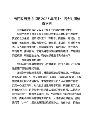 市民政局党组书记2025年民主生活会对照检查材料（典型案例剖析+五个带头）