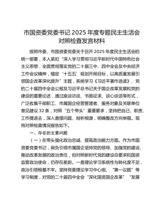 市国资委党委书记2025年度专题民主生活会对照检查发言材料（五个带头）