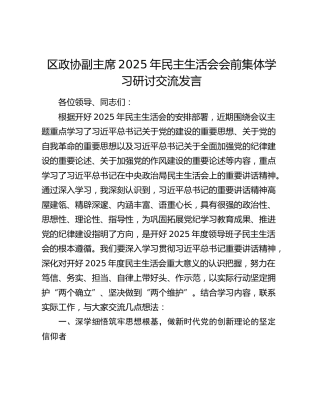 区政协副主席2025年民主生活会会前集体学习研讨交流发言