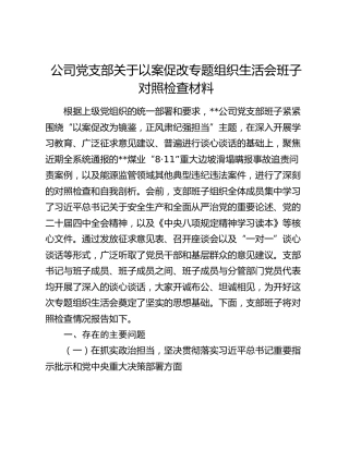 公司党支部关于以案促改专题组织生活会班子对照检查材料