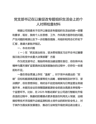 党支部书记在以案促改专题组织生活会上的个人对照检查材料