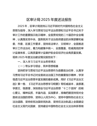 区审计局2025年度述法报告
