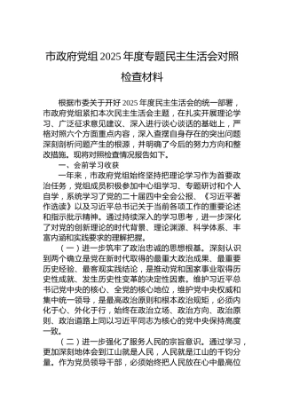 市政府党组2025年度专题民主生活会对照检查材料