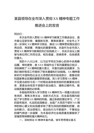 某县领导在全市深入贯彻XX精神专题工作推进会上的发言