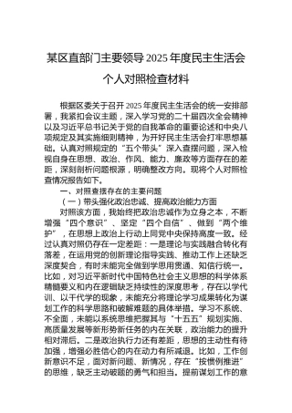 某区直部门主要领导2025年度民主生活会个人对照检查材料
