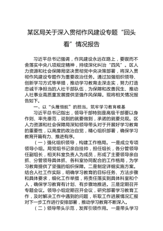 某区局关于深入贯彻作风建设专题“回头看”情况报告