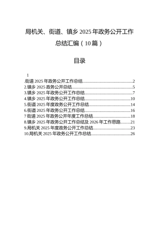 局机关、街道、镇乡2025年政务公开工作总结汇编（10篇）