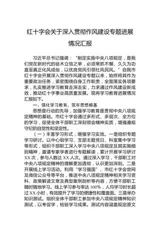 红十字会关于深入贯彻作风建设专题进展情况汇报