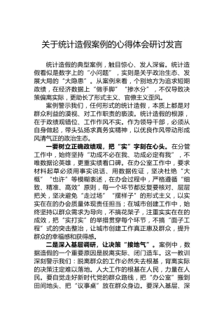 关于统计造假案例的心得体会研讨发言