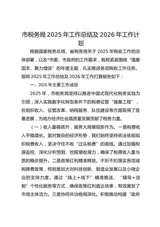 市税务局2025年工作总结及2026年工作计划