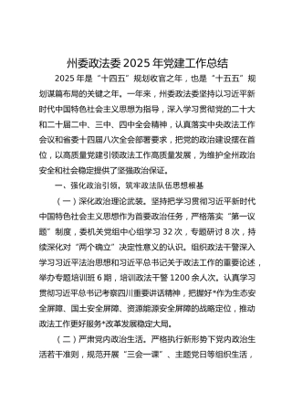 某州委政法委2025年党建工作总结