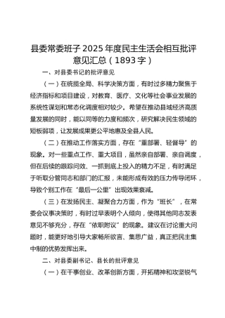 县委常委班子2025年度民主生活会相互批评意见汇总（1893字）