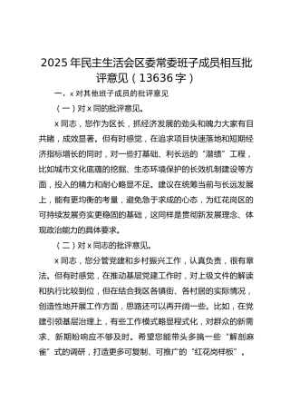 2025年民主生活会区委常委班子成员相互批评意见（13636字）