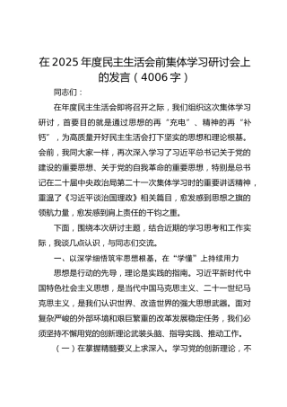 （会前）2025年度民主生活会前集体学习研讨会上的发言（4006字）