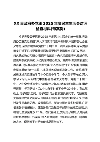 XX县政府办党组2025年度民主生活会对照检查材料（带案例）
