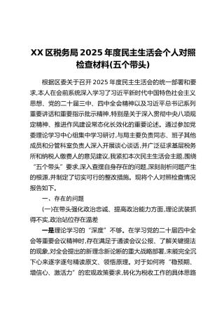 XX区税务局2025年度民主生活会个人对照检查材料（五个带头）