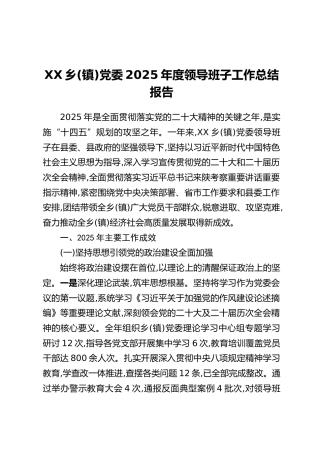XX乡（镇）党委2025年度领导班子工作总结报告