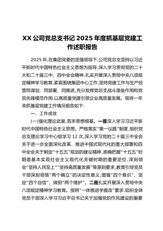 XX公司党总支书记2025年度抓基层党建工作述职报告