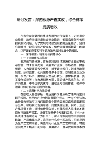 研讨发言：深挖根源严查实改，综合施策提质增效