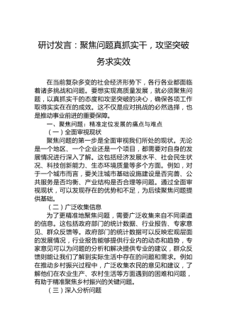 研讨发言：聚焦问题真抓实干，攻坚突破务求实效