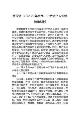 乡党委书记2025年度民主生活会个人对照检查材料