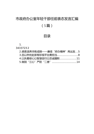 市政府办公室年轻干部任前表态发言汇编（5篇）
