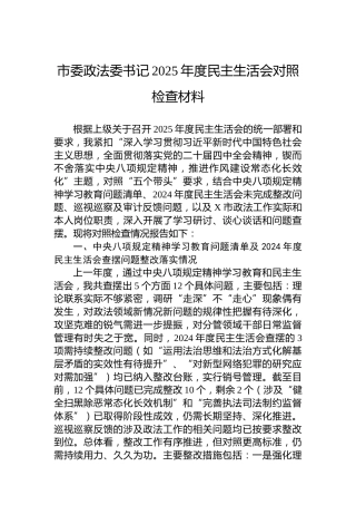 市委政法委书记2025年度民主生活会对照检查材料