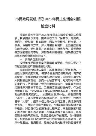 市民政局党组书记2025年民主生活会对照检查材料