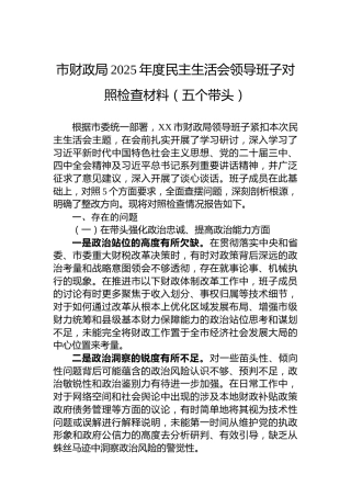 市财政局2025年度民主生活会领导班子对照检查材料（五个带头）